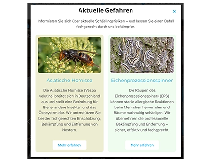Popup zum Thema Insekten